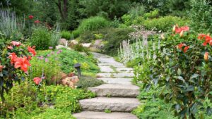 Why Some Gardens Become Pest Magnets—and How to Break the Cycle
